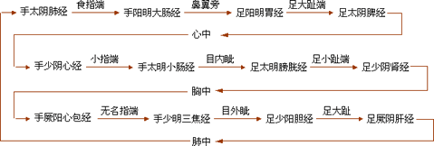 一、经络的组成和作用