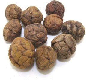 草豆蔻:点击看原图 草豆蔻