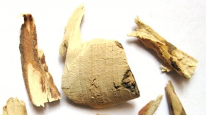 茶树根:点击看原图 茶树根