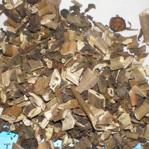 颠茄草:点击看原图 颠茄草