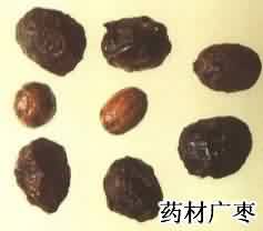 广枣:点击看原图 广枣