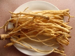 茴香根:点击看原图 茴香根