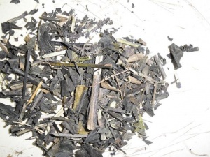 红泽兰:点击看原图 红泽兰