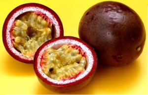 龙珠子:点击看原图 龙珠子