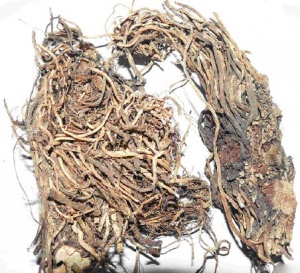 藜芦:点击看原图 藜芦