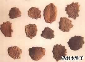 木鳖子:点击看原图 木鳖子