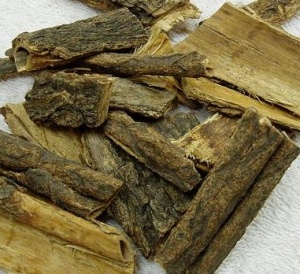 木槿皮:点击看原图 木槿皮