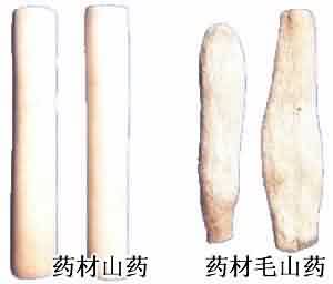 山药:点击看原图 山药