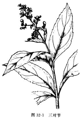 三对节:点击看原图 三对节