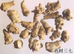 三七:点击看原图 三七