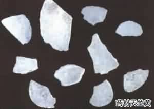 天竺黄:点击看原图 天竺黄