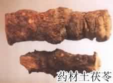 土茯苓:点击看原图 土茯苓