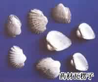 瓦楞子:点击看原图 瓦楞子