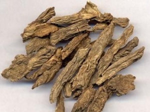 续断:点击看原图 续断