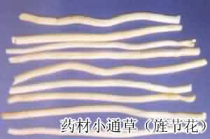 小通草:点击看原图 小通草