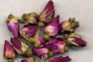 月季花:点击看原图 月季花