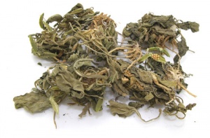 紫花地丁:点击看原图 紫花地丁