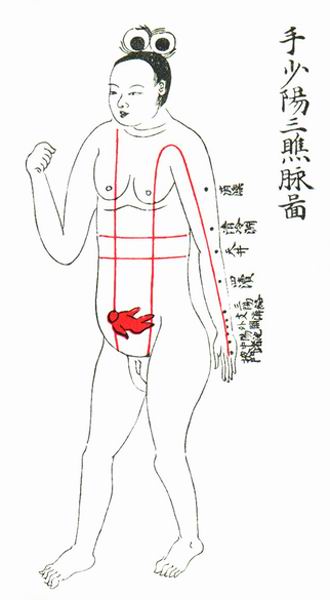 手少阳三焦脉
