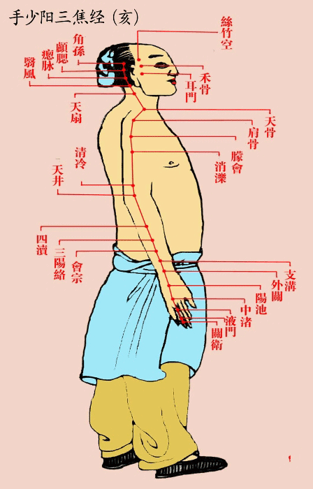 手少阳三焦经(亥)