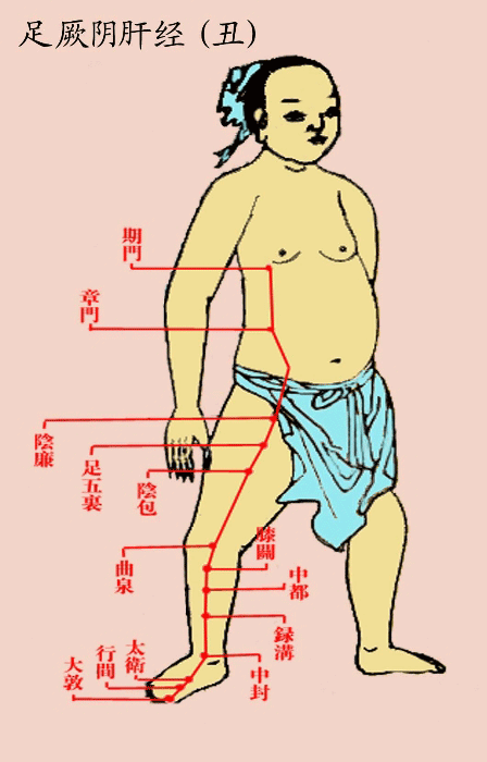 足厥阴肝经(丑)