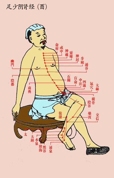 足少阴肾经(酉)