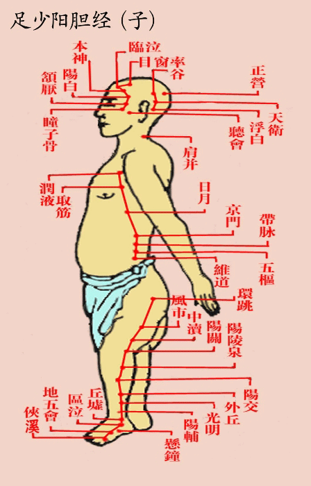 足少阳胆经