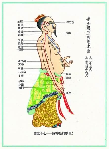 手少阳三焦经