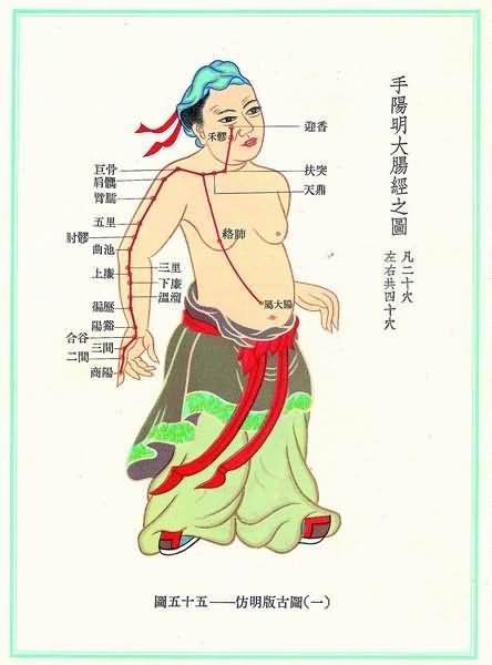手阳明大肠经