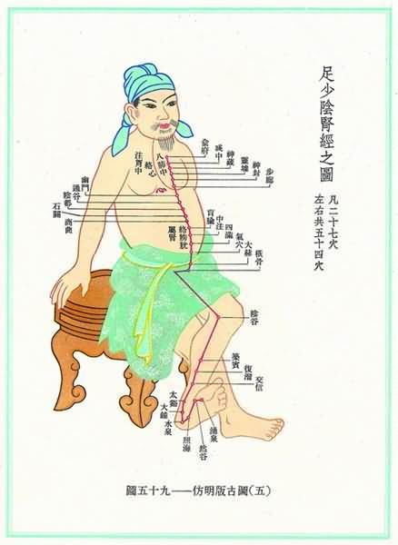 足少阴肾经