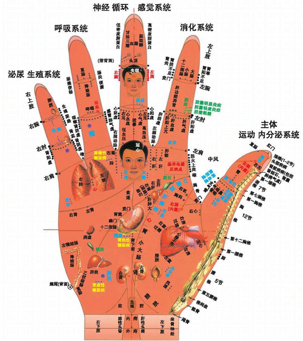 手掌穴位彩图