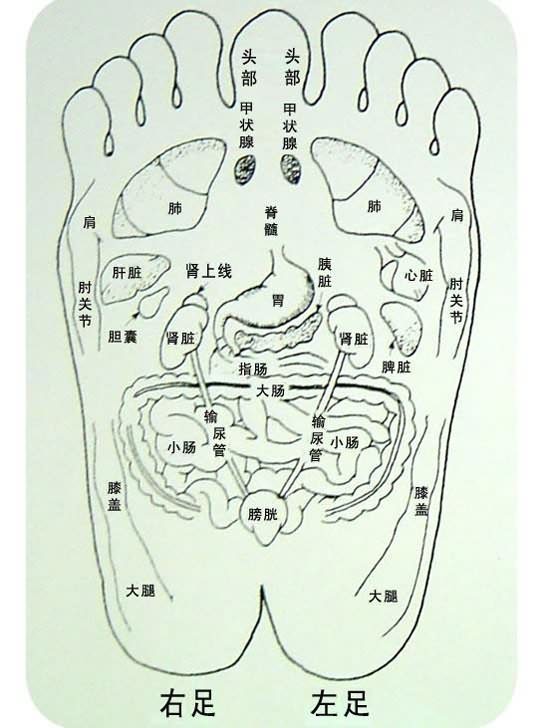 足部穴位图二