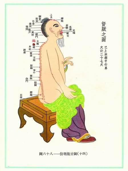 <a href=https://www.zhzyw.com/zyxx/jl/081018209D4690K6HK453K919.html target=_blank>督脉</a>