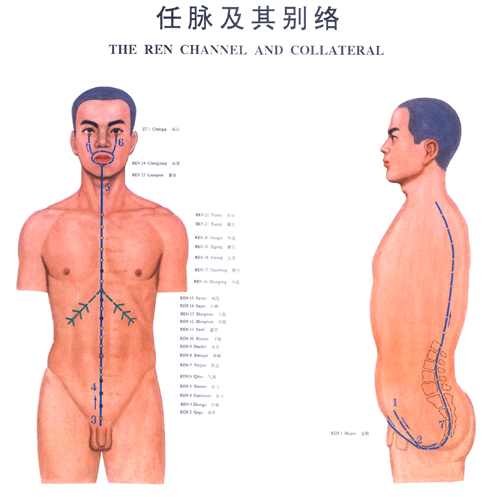 <a href=https://www.zhzyw.com/zyxx/jl/08101820BC5C033G7C904C6A3.html target=_blank>任脉</a>与其别络