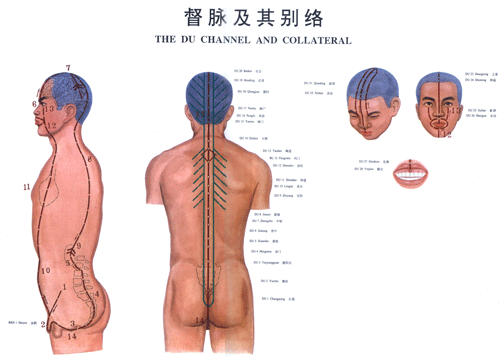 <a href=https://www.zhzyw.com/zyxx/jl/081018209D4690K6HK453K919.html target=_blank>督脉</a>与其别络