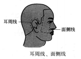 面侧线