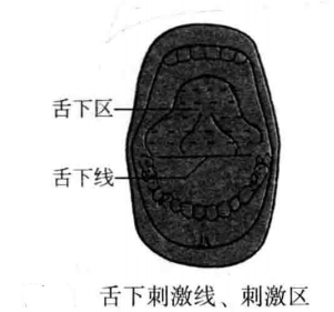 舌下刺激线、刺激区