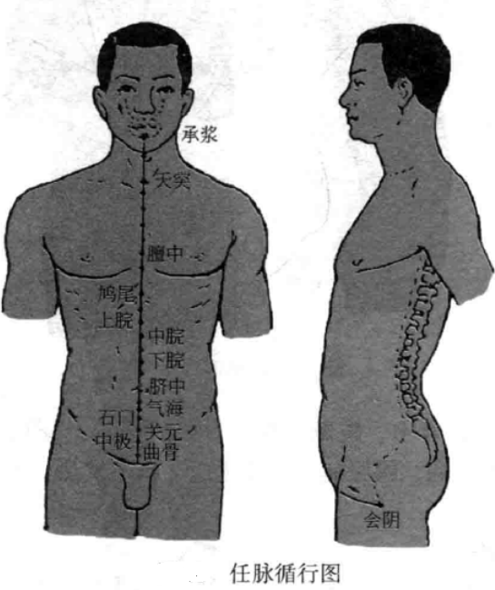 任脉循经图