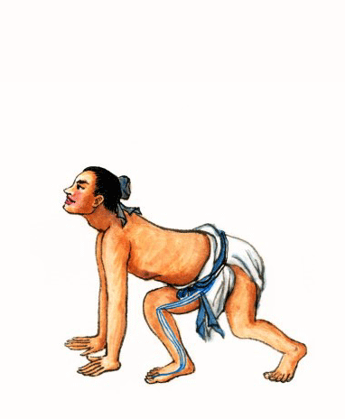 卧虎扑食势
