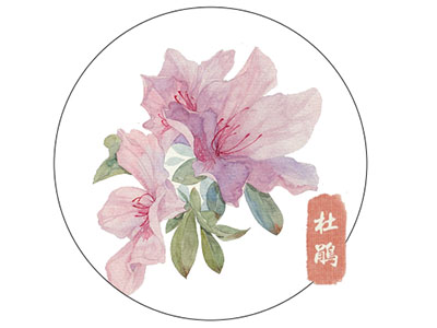 杜鹃花