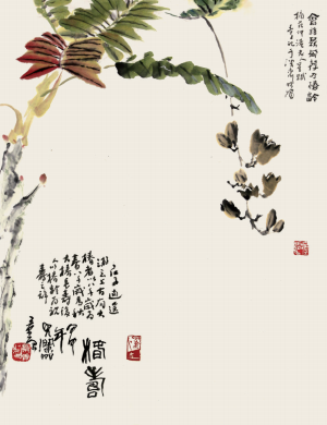 椿图