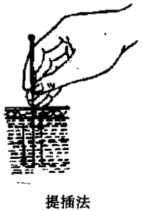 提插法