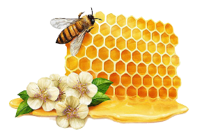 蜂蜜