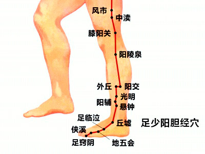小腿