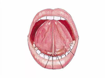 舌抵腭缩肛