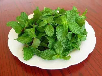 薄荷