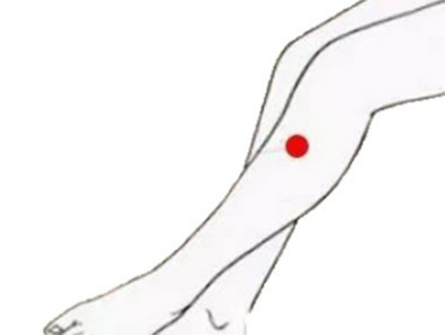 足三里穴